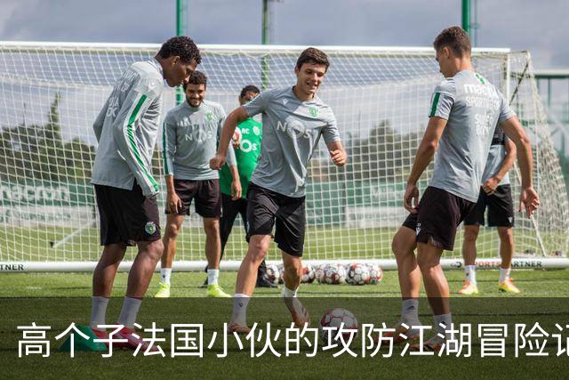 高个子法国小伙的攻防江湖冒险记